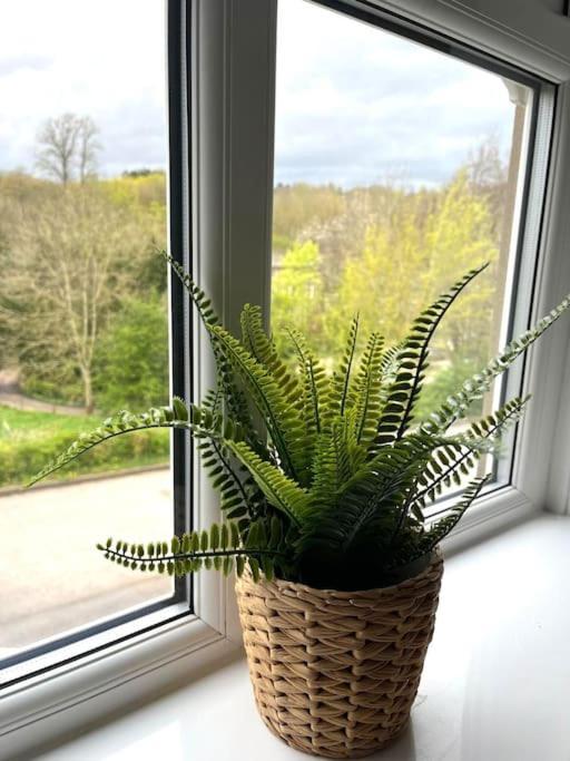 Olive Holiday Cottage Matlock Матлок Екстериор снимка