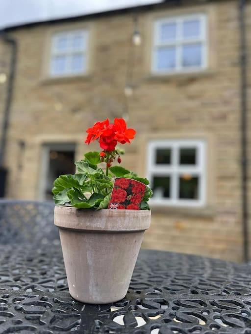 Olive Holiday Cottage Matlock Матлок Екстериор снимка